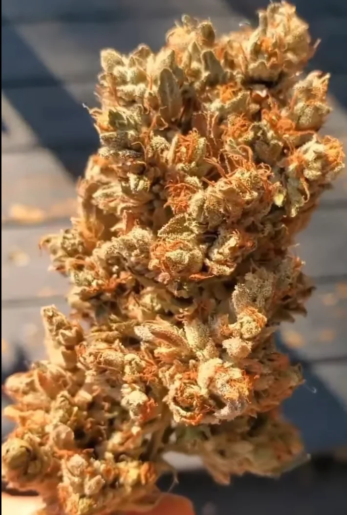 Chem Lab - East Bae V2 - Image 3