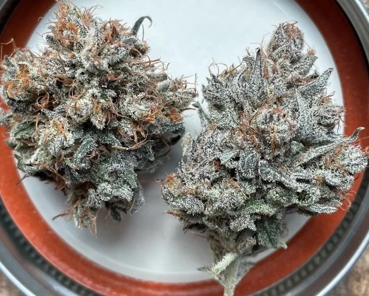 Chem Lab - Flamethrower - Image 3