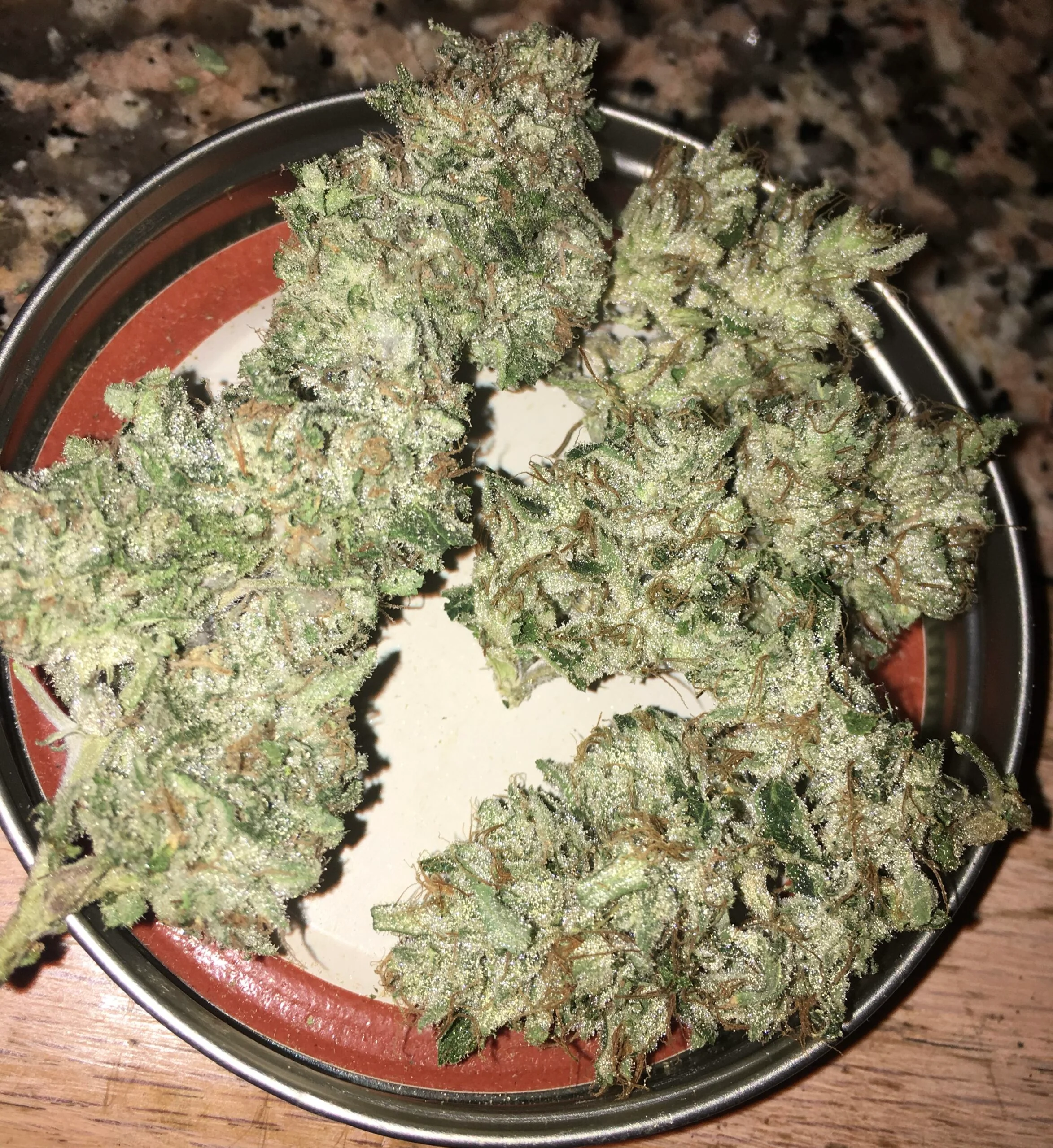 Chem Lab - Wicked Bubblegum V1 - Image 3